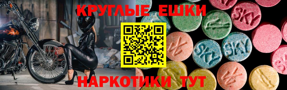 Североморск  Ecstasy Philipp Plein  Вход с VPN 