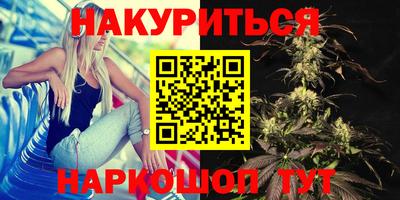прущие грибы Будённовск