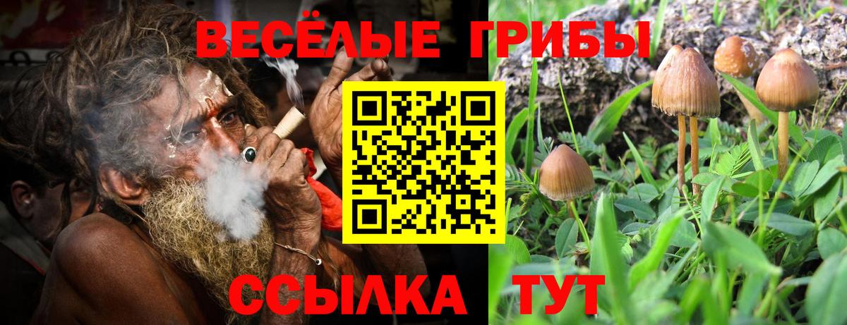 Галлюциногенные грибы MAGIC MUSHROOMS  Вход с VPN  Североморск 